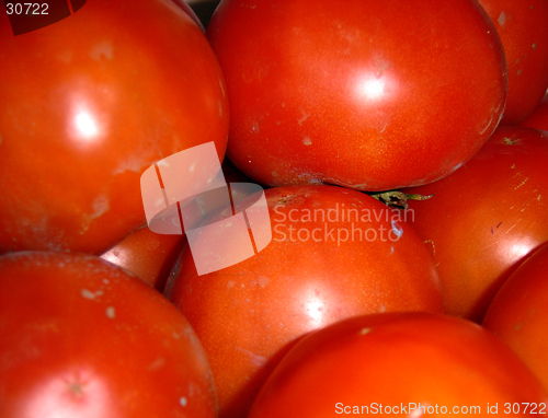 Image of Natural red tomatoes