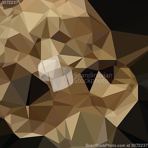 Image of poligonal background