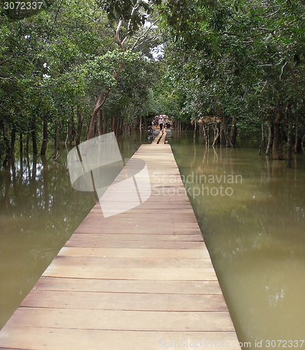 Image of wooden bridge