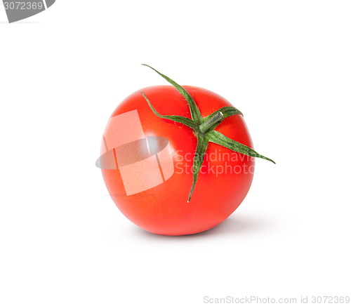 Image of Single Fresh Red Tomato With Green Stem Rotated
