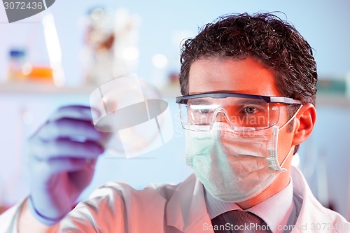 Image of Scientist observing petri dish.