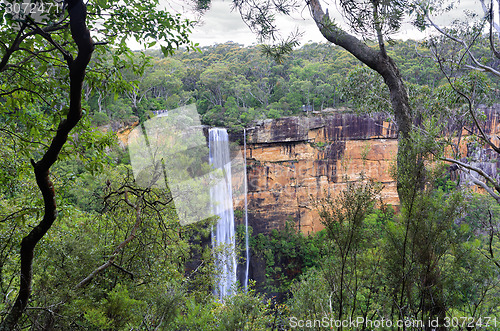 Image of Australian bush view of Fitzory Falls