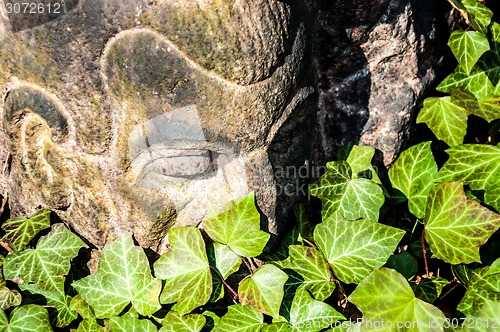 Image of Mourning