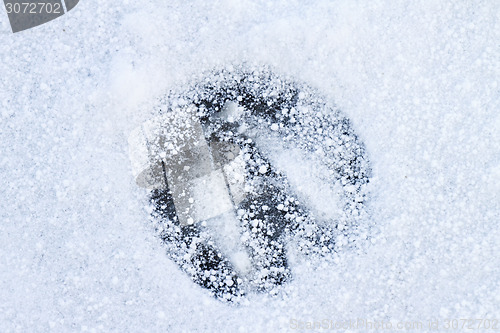 Image of Footprint of a Horse in Snow