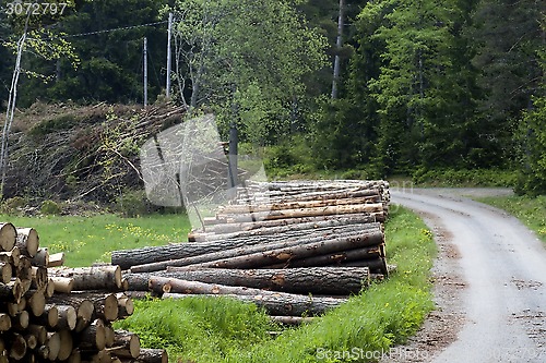 Image of timber