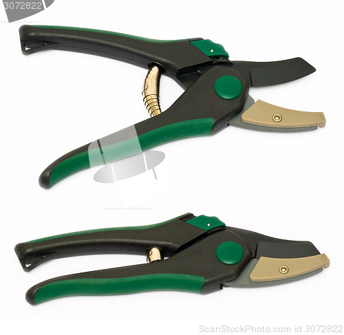 Image of Secateurs.