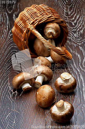 Image of Portabello Mushroom