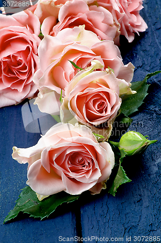 Image of Pink Roses