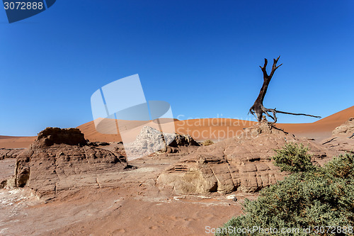 Image of Sossusvlei beautiful landscape of death valley, namibia