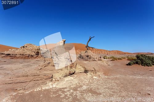Image of Sossusvlei beautiful landscape of death valley, namibia