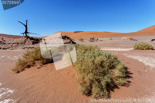 Image of Sossusvlei beautiful landscape of death valley, namibia