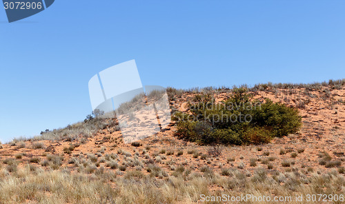 Image of plains of the Kgalagadi Transfrontier Park