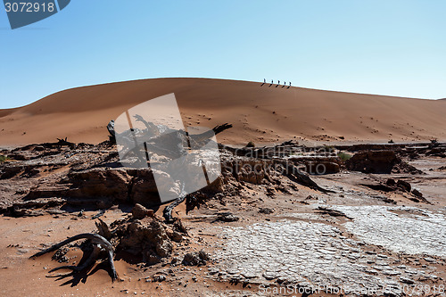 Image of Sossusvlei beautiful landscape of death valley, namibia