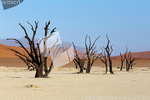 Image of Sossusvlei beautiful landscape of death valley, namibia