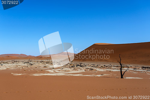 Image of Sossusvlei beautiful landscape of death valley, namibia