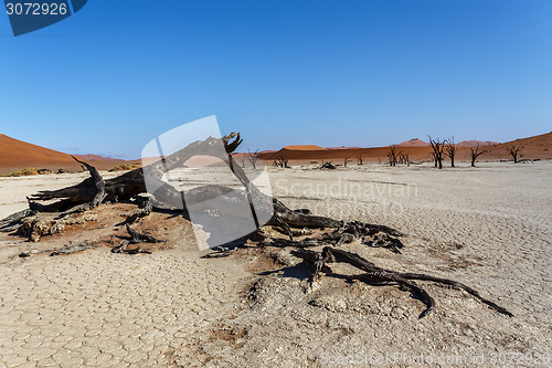 Image of Sossusvlei beautiful landscape of death valley, namibia