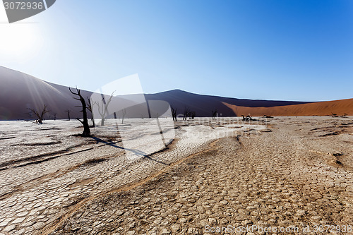 Image of Sossusvlei beautiful landscape of death valley, namibia