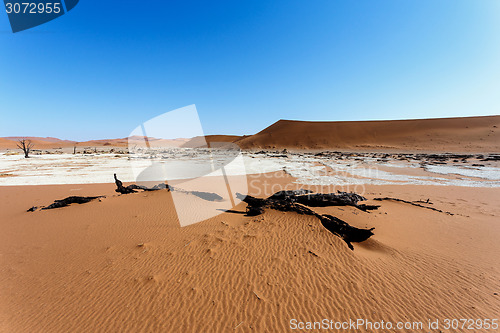 Image of Sossusvlei beautiful landscape of death valley, namibia