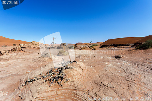 Image of Sossusvlei beautiful landscape of death valley, namibia