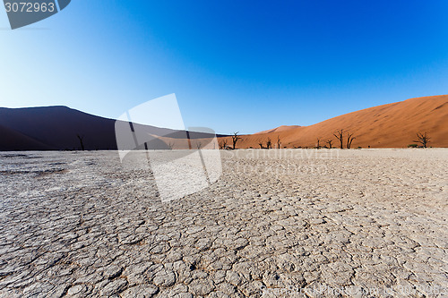 Image of Sossusvlei beautiful landscape of death valley, namibia