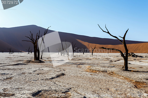 Image of Sossusvlei beautiful landscape of death valley, namibia