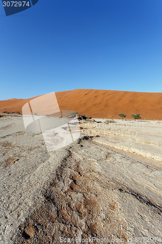 Image of Sossusvlei beautiful landscape of death valley, namibia