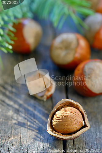 Image of Whole Hazelnuts on old table