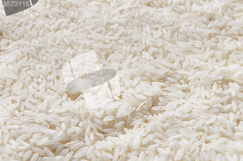 Image of White rice background