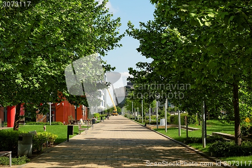 Image of Walking path in the park