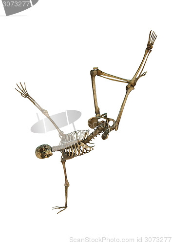 Image of Dancing Skeleton