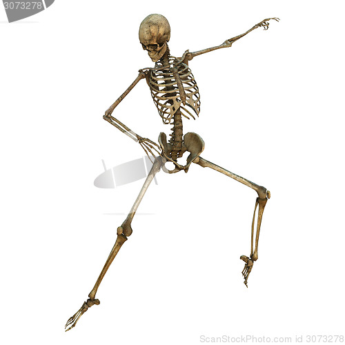 Image of Dancing Skeleton