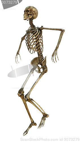 Image of Dancing Skeleton