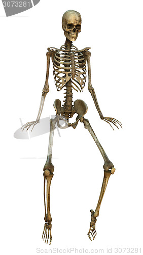 Image of Dancing Skeleton