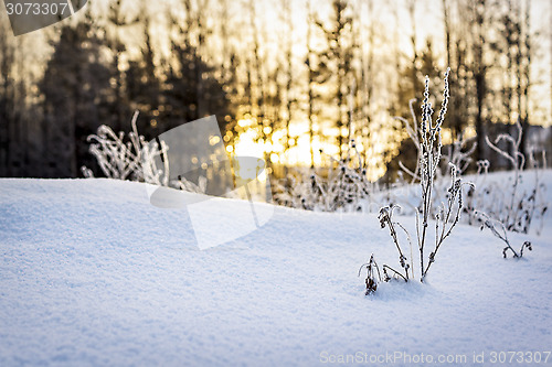 Image of Evening sunset in winter 