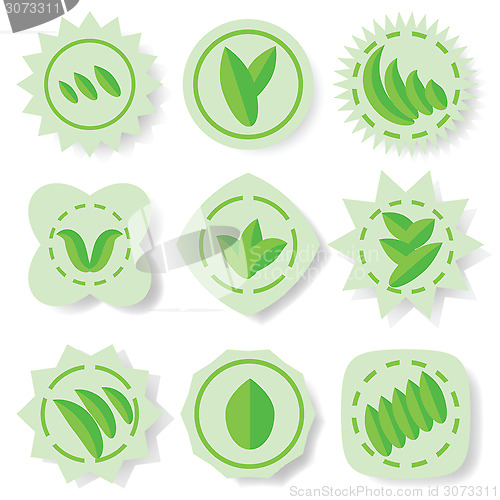 Image of set of leaves icons