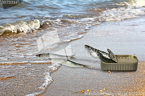 Image of Canned sardines fleeing from cans