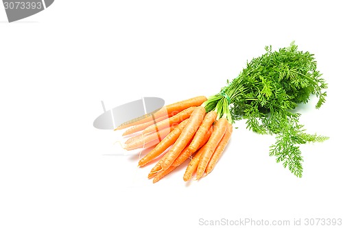 Image of Fresh carrots