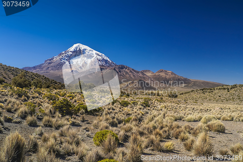 Image of Nevado Sajama