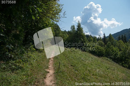 Image of Europe summer travel in alps and green forest