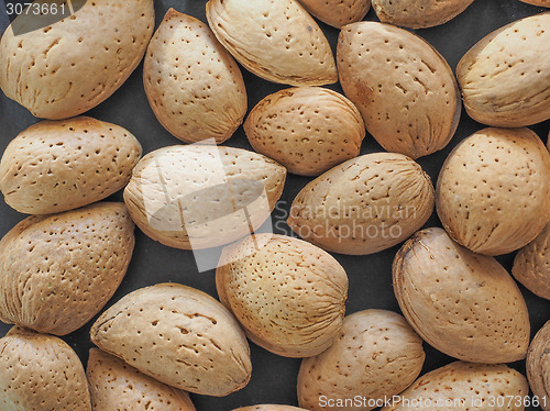 Image of Almond fruit