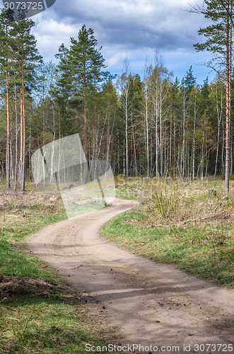 Image of Country road the leader through a wood