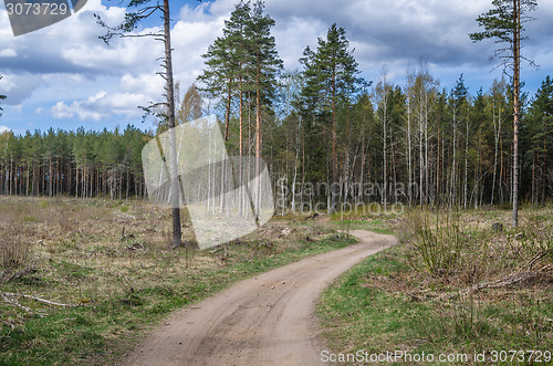 Image of Country road the leader through a wood