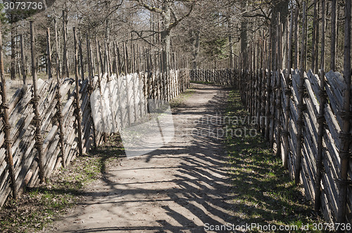 Image of Wooden fence in the spring in the countryside