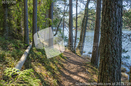 Image of Spring landscape at wood lake