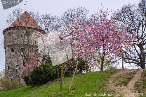 Image of View of Tallinn spring day