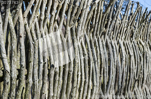 Image of Wooden fence in the spring in the countryside