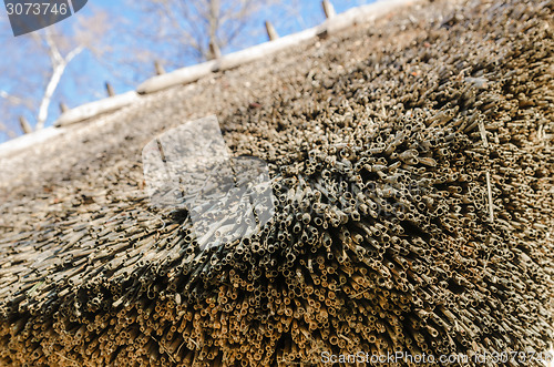 Image of The roof covered with straw, close-up  