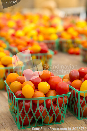 Image of Organic Tomatoes