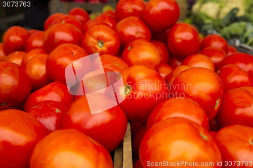 Image of Organic Tomatoes