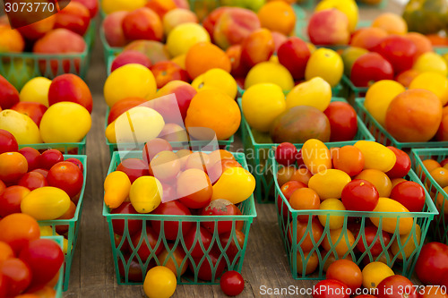 Image of Organic Tomatoes